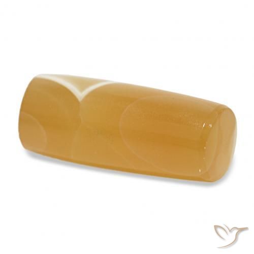 Agate Multicolore naturelle Fantaisie, 8.16 ct, Translucide
