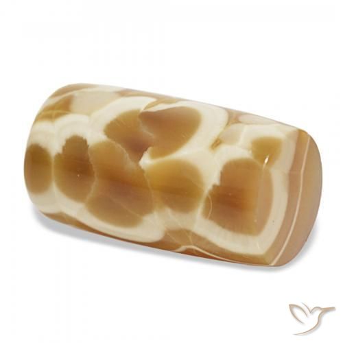 Agate Multicolore naturelle Fantaisie, 17.37 ct, Opaque