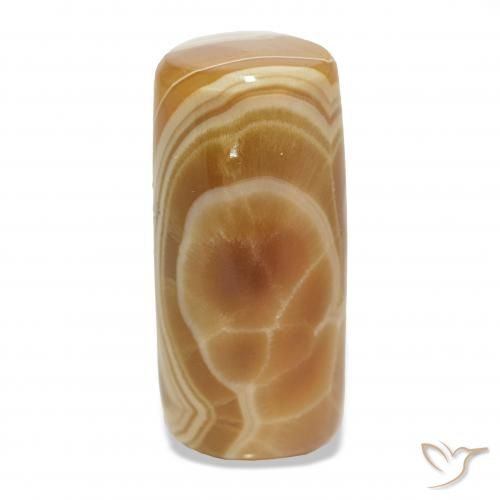 31.26ct Multicolore Agate, Fantaisie, Opaque