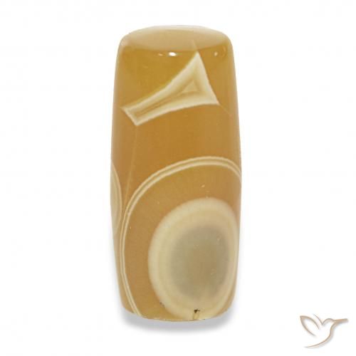 9.34ct Multicolore Agate, Fantaisie, Translucide