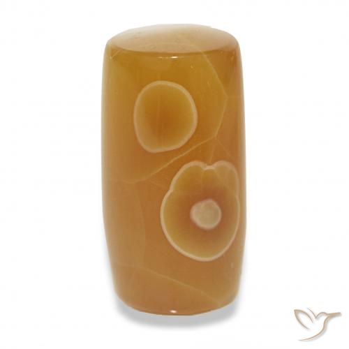 13.53ct Multicolore Agate, Fantaisie, Translucide