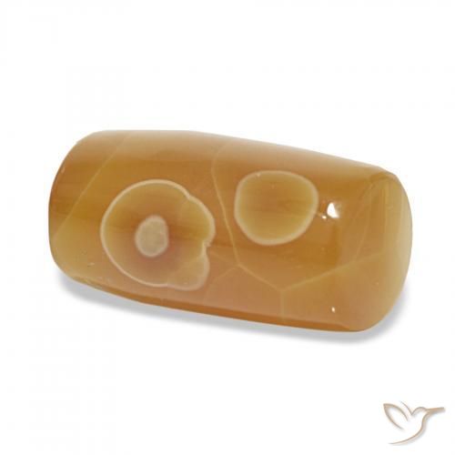 Agate Multicolore naturelle Fantaisie, 13.53 ct, Translucide