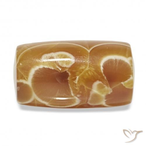 Agate Multicolore naturelle Fantaisie, 15.61 ct, Opaque