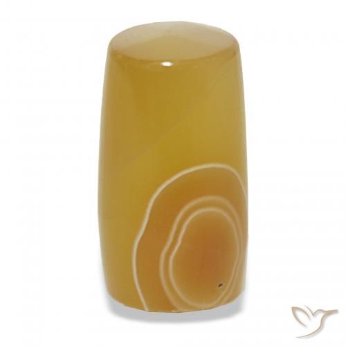 15.12ct Multicolore Agate, Fantaisie, Translucide