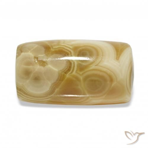 Agate Multicolore naturelle Fantaisie, 20.50 ct, Translucide