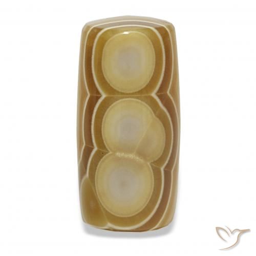 14.68ct Multicolore Agate Pierres précieuses, Fantaisie, Opaque
