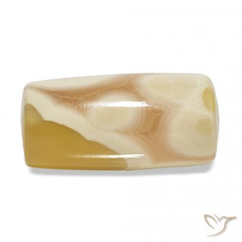 Agate Multicolore naturelle Forme fantaisie, 18.45 ct, Translucide