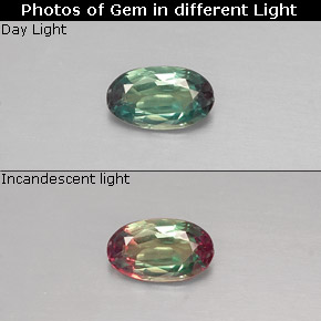 Alexandrite Vert rouge naturelle Coupe ovale, 0.21 ct, VS