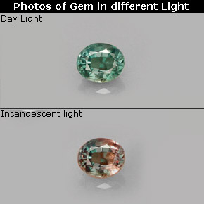 Alexandrite multicolore naturelle coupe ovale, 0,33 ct, VS-SI