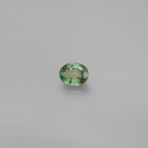 Alexandrite Vert rouge naturelle Coupe ovale, 0.31 ct, VVS-VS