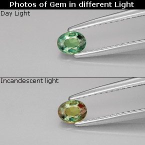 Alexandrite multicolore naturelle coupe ovale, 0,26 ct, VVS-VS