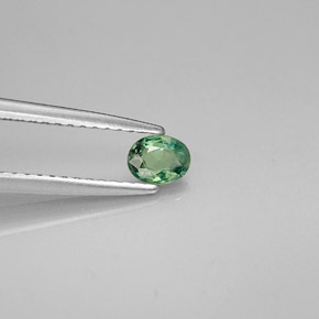 Alexandrite multicolore naturelle coupe ovale, 0,26 ct, VVS-VS