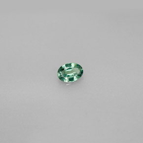 Alexandrite Vert rouge naturelle Coupe ovale, 0.21 ct, VVS-VS
