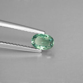 Alexandrite multicolore naturelle coupe ovale, 0,46 ct, VVS-VS