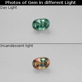 Alexandrite multicolore naturelle coupe ovale, 0,33 ct, VVS-VS