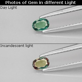 Alexandrite multicolore naturelle coupe ovale, 0,25 ct, VVS-VS