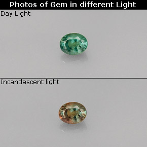 Alexandrite Vert rouge naturelle Coupe ovale, 0.26 ct, VVS-VS