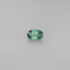 Alexandrite multicolore naturelle coupe ovale, 0,37 ct, VS