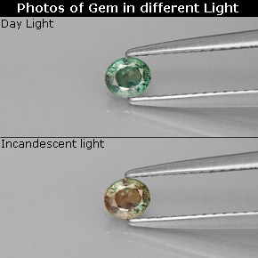 Alexandrite Vert rouge naturelle Coupe ovale, 0.25 ct, VVS-VS