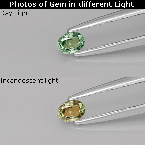 Alexandrite Vert rouge naturelle Coupe ovale, 0.20 ct, VS