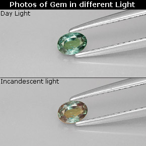 Alexandrite multicolore naturelle coupe ovale, 0,23 ct, VS