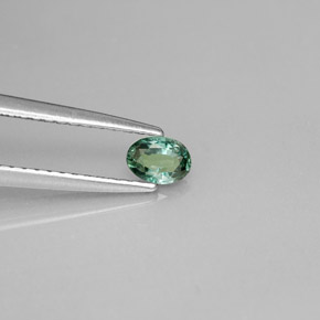 Alexandrite multicolore naturelle coupe ovale, 0,23 ct, VS