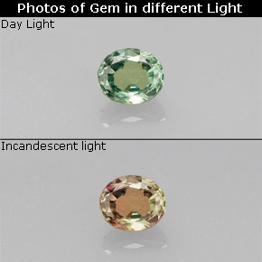 Alexandrite multicolore naturelle coupe ovale, 0,19 ct, VS