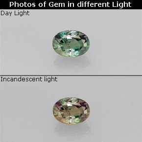 Alexandrite multicolore naturelle coupe ovale, 0,18 ct, VS