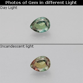 Alexandrite Vert rouge naturelle En forme de poire, 0.13 ct, VVS-VS