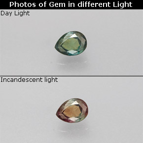 Alexandrite multicolore naturelle en forme de poire, 0,12 ct, VS