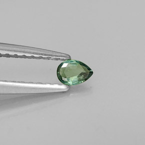 Alexandrite multicolore naturelle en forme de poire, 0,10 ct, VS