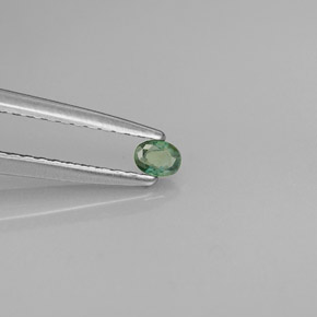 Alexandrite multicolore naturelle coupe ovale, 0,08 ct, VS