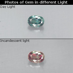 Alexandrite Vert rouge naturelle Coupe ovale, 0.12 ct, VS