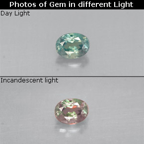 Alexandrite multicolore naturelle coupe ovale, 0,13 ct, VS
