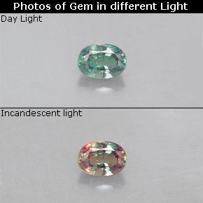 Alexandrite Vert rouge naturelle Coupe ovale, 0.14 ct, VS