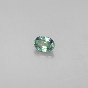 Alexandrite Vert rouge naturelle Coupe ovale, 0.14 ct, VS