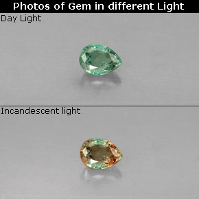 Alexandrite multicolore naturelle en forme de poire, 0,15 ct, VS