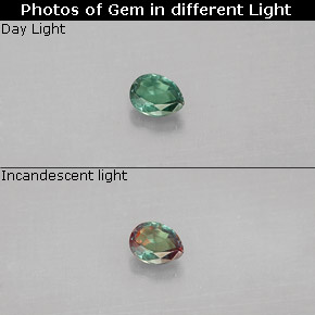 Alexandrite multicolore naturelle en forme de poire, 0,09 ct, VS