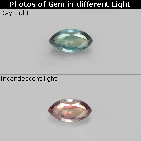Alexandrite multicolore naturelle marquise, 0,15 ct, VS