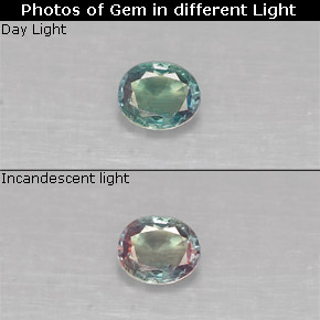 Alexandrite multicolore naturelle coupe ovale, 0,18 ct, VS
