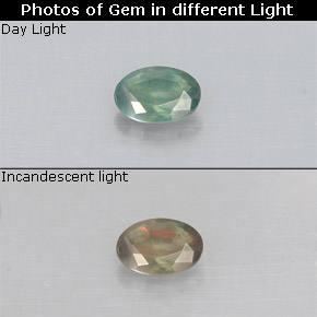 Alexandrite Vert rouge naturelle Coupe ovale, 0.15 ct, VS