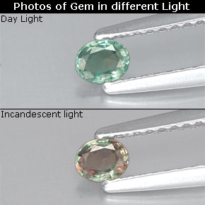Alexandrite multicolore naturelle coupe ovale, 0,15 ct, VS