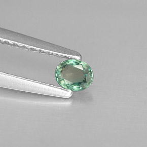 Alexandrite multicolore naturelle coupe ovale, 0,15 ct, VS