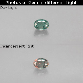 Alexandrite multicolore naturelle coupe ovale, 0,12 ct, VS