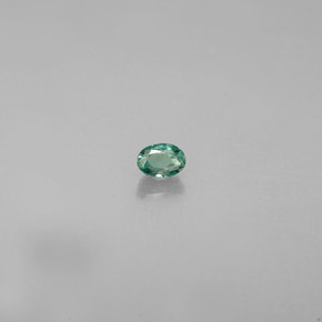 Alexandrite multicolore naturelle coupe ovale, 0,12 ct, VS