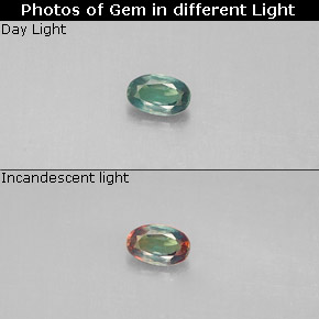 Alexandrite Vert rouge naturelle Coupe ovale, 0.10 ct, VS