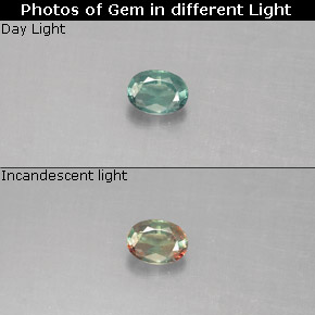 Alexandrite multicolore naturelle coupe ovale, 0,13 ct, VS