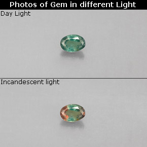 Alexandrite multicolore naturelle coupe ovale, 0,07 ct, VS