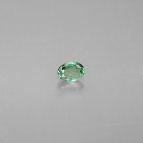 Alexandrite Vert rouge naturelle Coupe ovale, 0.11 ct, VS