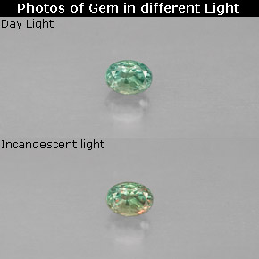 Alexandrite Vert rouge naturelle Coupe ovale, 0.12 ct, VS